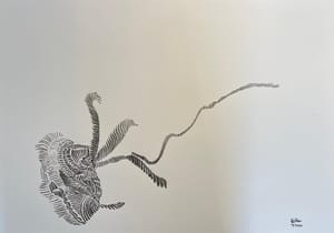 (Untitled)