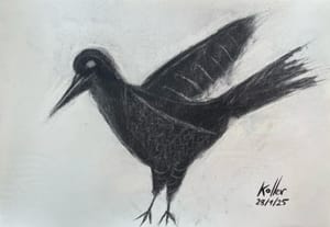 (Untitled)